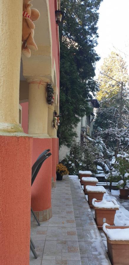 Casa Rosa 호텔 Băile Olăneşti 외부 사진