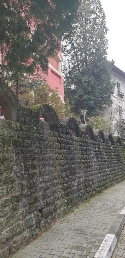 Casa Rosa 호텔 Băile Olăneşti 외부 사진